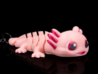 Ashley, the Axolotl