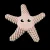 Sea Star