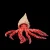 Bigfin Squid