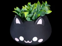 Mini Cat Planter – Cute Black Kitty Pot for Tiny Plants or Decor
