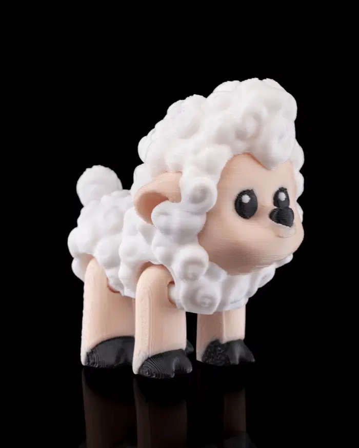 Sheep