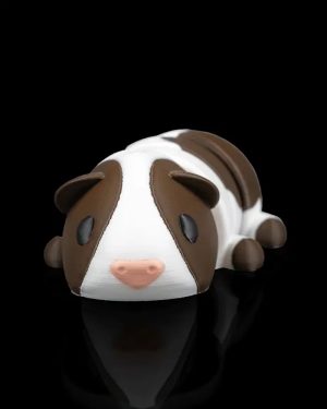 Resting Guinea Pig