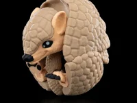 Curious Armadillo