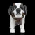 St. Bernard