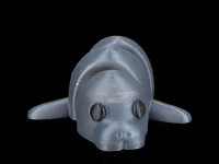Resting Manatee