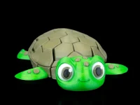 Mesh Turtle