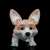 Corgi