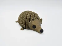 Resting Hedgehog